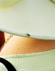 img-galeria