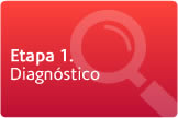 Etapa 1. Diagnóstico