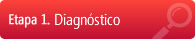 Etapa 1. Diagnóstico