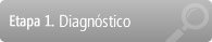 Etapa 1. Diagnóstico