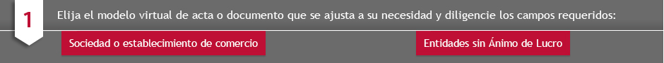 Seleccione el documento que aplica para su tipo de sociedad o establecimiento de comercio